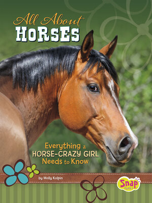 cover image of All About Horses